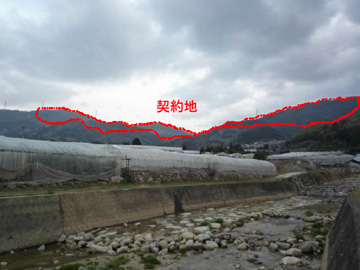 果樹・ハウス栽培と水源林造成事業地の写真