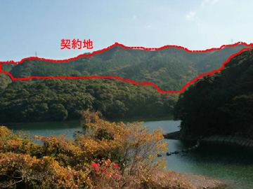 小ヶ倉水源池と水源林造成事業地の写真
