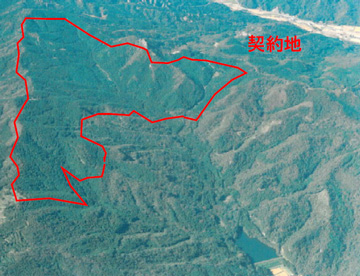 農業用ため池と水源林造成事業地の写真