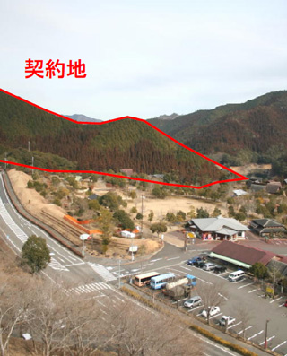 キャンプ場と造林地の写真