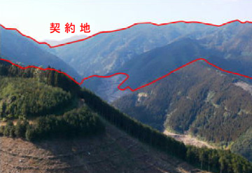 庭田水源林造成事業地全景の写真