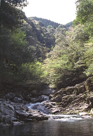 清流石並川の源流（日向市）の写真