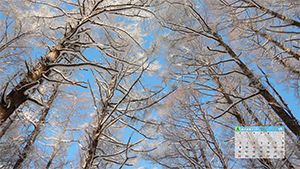 2月のカレンダー