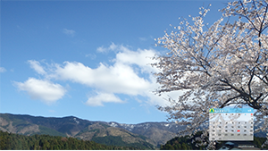 3月のカレンダー