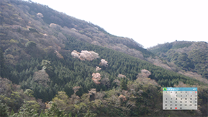 4月のカレンダー