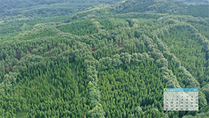 7月のカレンダー