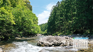 8月のカレンダー