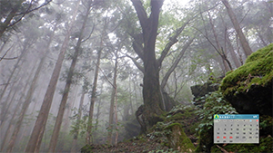 9月のカレンダー