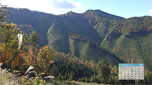10月のカレンダー