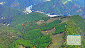 11月のカレンダー