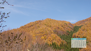 12月のカレンダー