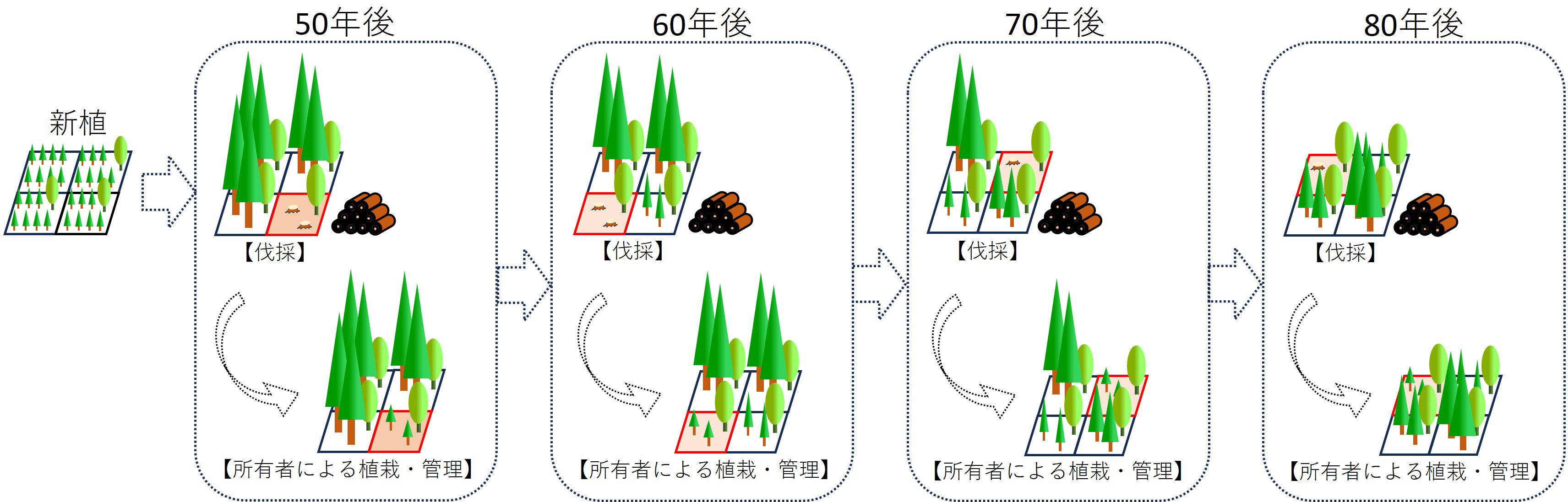 植栽、50年後小面積分散伐採(広葉樹を保残)、60年後小面積分散伐採、80年後小面積分散伐採、以降森林保有者による保全・整備