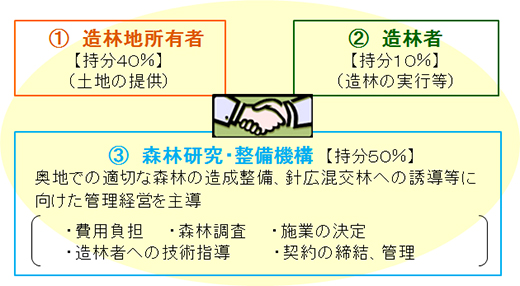 （1）造林地所有者【持分40％】（土地の提供）（2）造林者【持分10％】（造林の実行等）（3）森林研究・整備機構【持分50％】奥地での適切な森林の造成設備、針広混交林の誘導等に向けた管理経営を主導